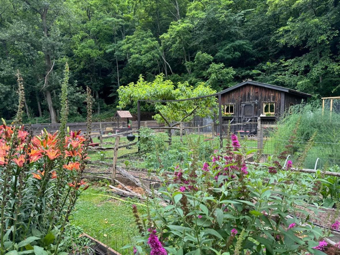 Vila The Renovated Barn At Seneca Rocks Exteriér fotografie