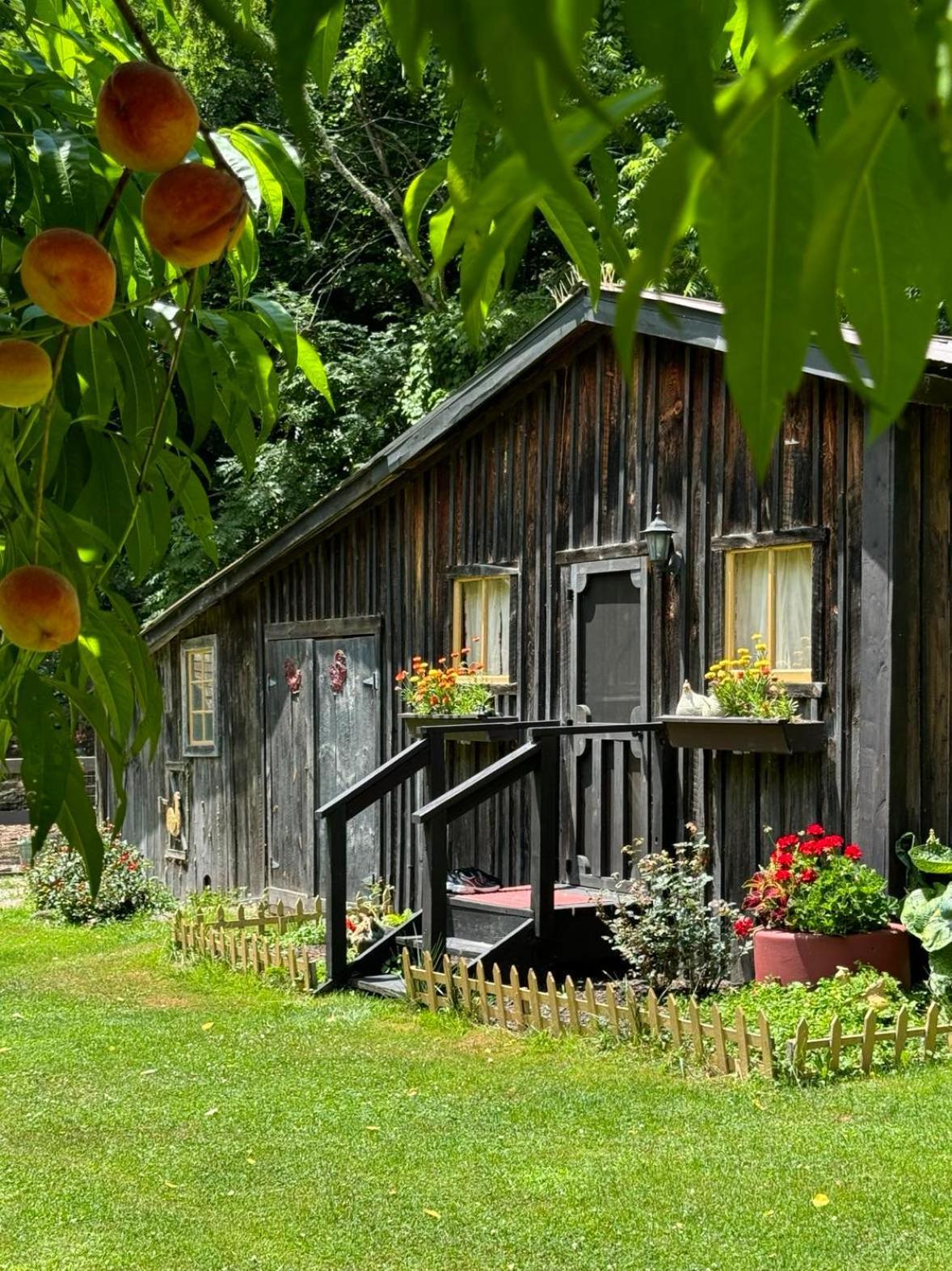 Vila The Renovated Barn At Seneca Rocks Exteriér fotografie