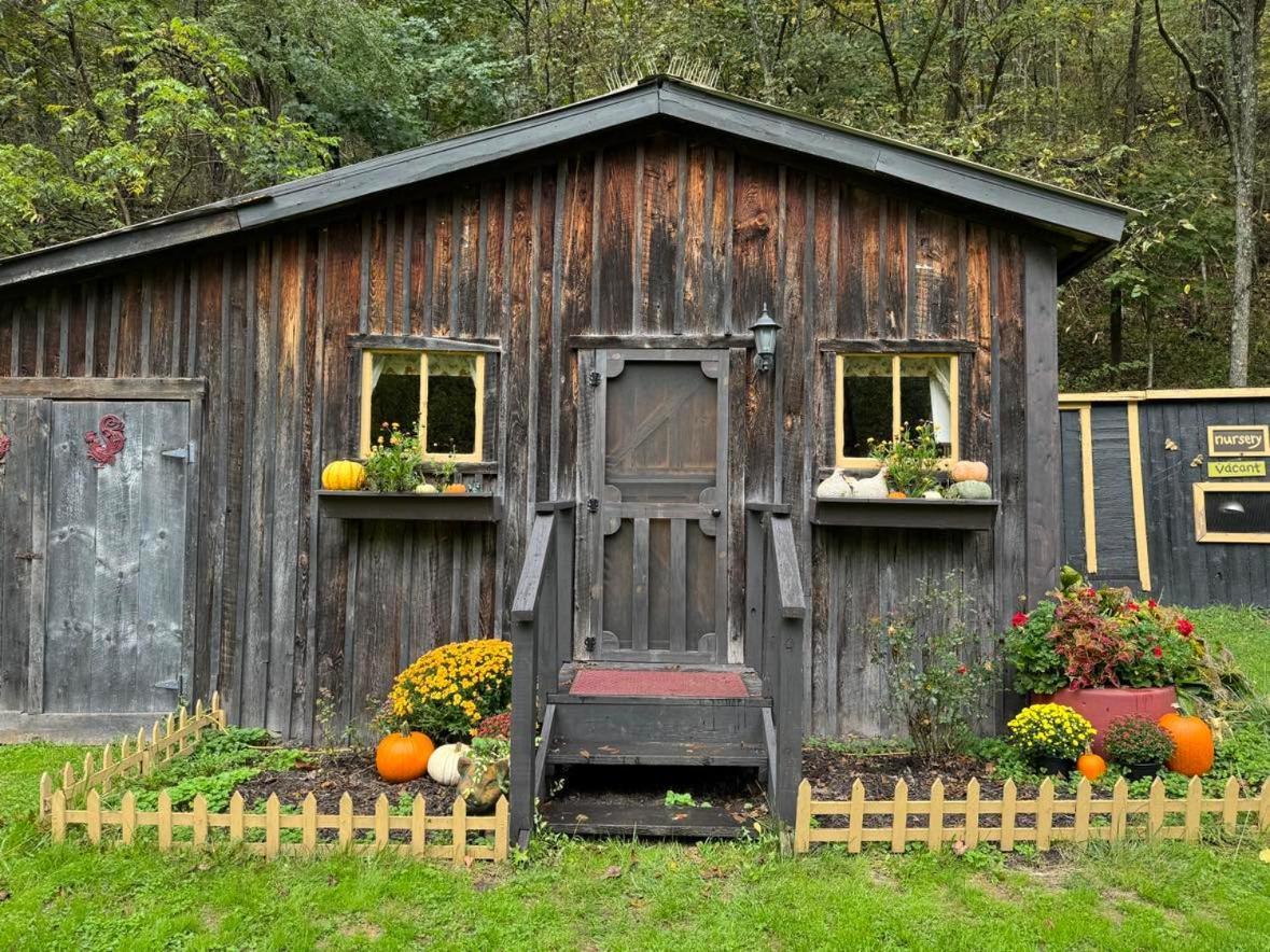 Vila The Renovated Barn At Seneca Rocks Exteriér fotografie