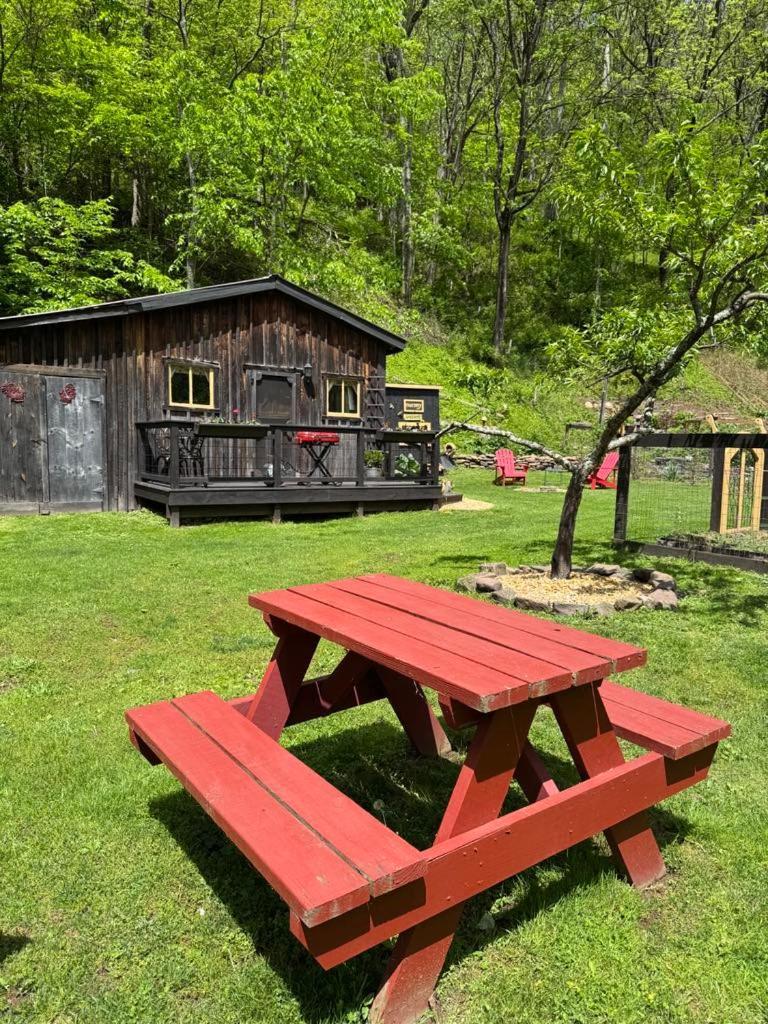 Vila The Renovated Barn At Seneca Rocks Exteriér fotografie