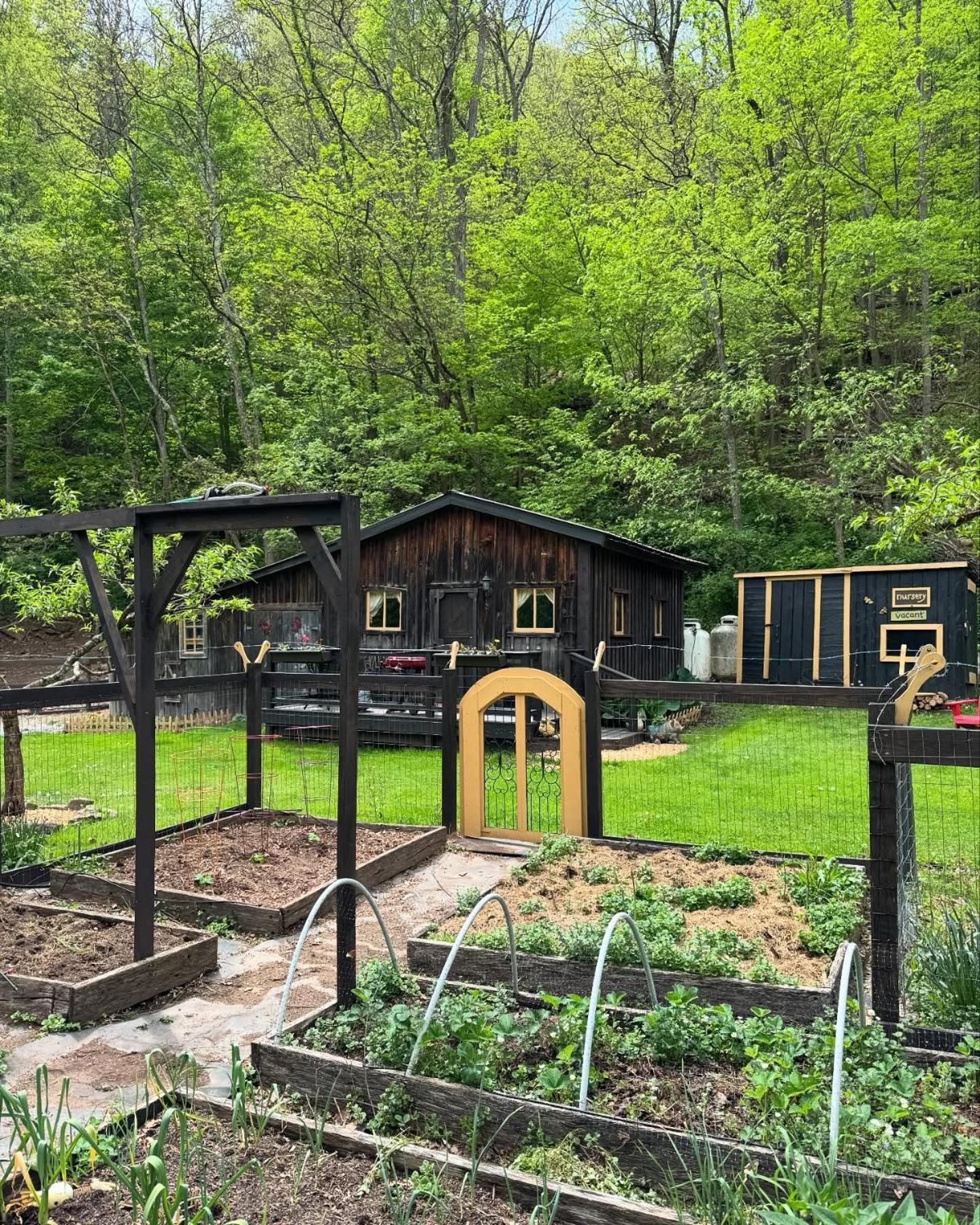 Vila The Renovated Barn At Seneca Rocks Exteriér fotografie